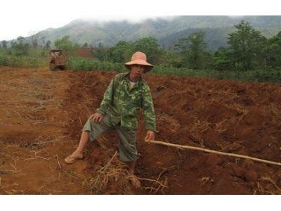 Sử Dụng Phương Tiện Cơ Giới Trong Sản Xuất, Chế Biến Cà Phê Ở Hướng Hóa