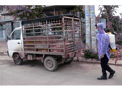 Góp Phần Làm Tốt Công Tác Phòng, Chống Dịch Bệnh