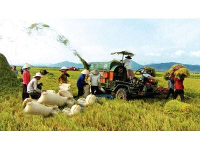 Tái Cơ Cấu Nông Nghiệp Xây Dựng Nông Thôn Mới Vùng ĐBSCL