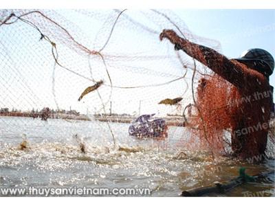 Vẫn Là Vốn Và Dịch Bệnh Trên Tôm