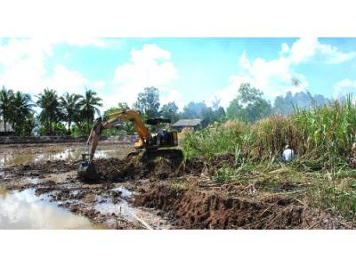 Nông Dân Đốt Bỏ Mía Vì Nhà Máy Ngừng Mua