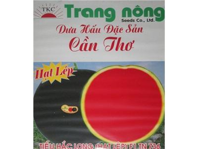 Hạt Giống Dưa Hấu Hút Hàng