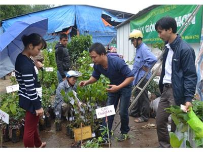 Lúng Túng Quản Lý Giống Cây Trồng