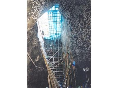 Cả Nước Có Khoảng 237 Hang Yến