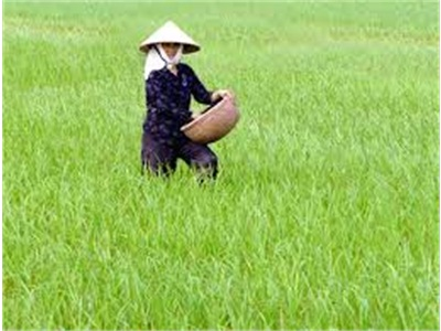 Hội Nghị Phân Bón Và Hóa Chất