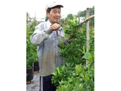 Mở Rộng Quy Mô Sản Xuất