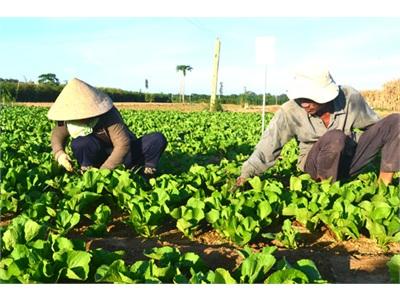Chuyện Ra Nước Ngoài Học Nghề Của Nông Dân
