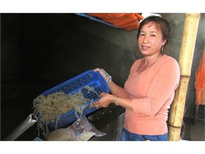 Thành Tỷ Phú Nhờ Con Sứa Biển