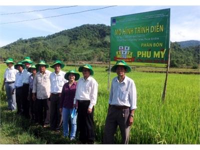 Bình Định Đảm Bảo Nguồn Cung Phân Bón Chất Lượng