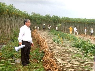 Quy Hoạch Vùng Nguyên Liệu Cho Công Nghiệp Chế Biến Chưa Gắn Kết Lợi Ích
