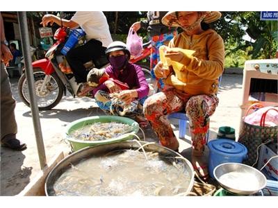 Thu Hoạch Rộ Tôm Trứng