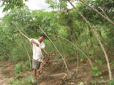 Làm Thế Nào Để Khai Thác Hiệu Quả Các Dự Án Đầu Tư Ở Miền Núi?