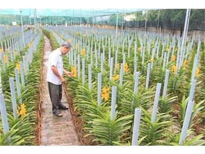 Gỡ Nút Thắt Vốn Cho Nông Nghiệp