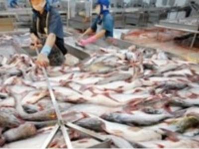 32.000 tấn thủy sản xuất khẩu bị trả về, tiêu thụ đâu