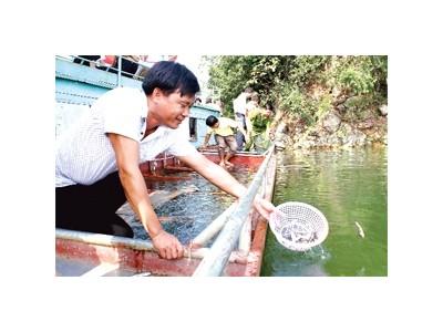 Bảo vệ nguồn lợi thủy sản trên sông Đà
