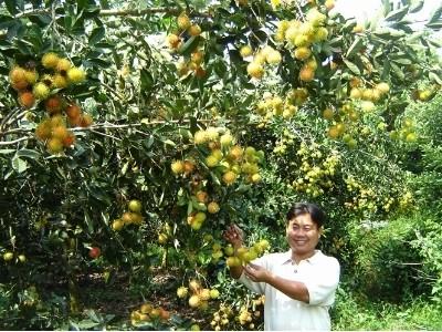 Cú bắt tay ba bên