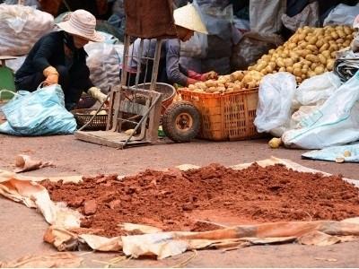Đà Lạt bất ngờ hủy lệnh cấm khoai tây Trung Quốc