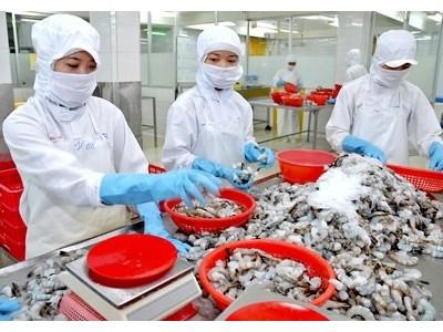 Giá trung bình nhập khẩu tôm giảm 20%