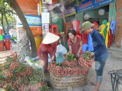 Giấm vải Lục Ngạn đi Tây