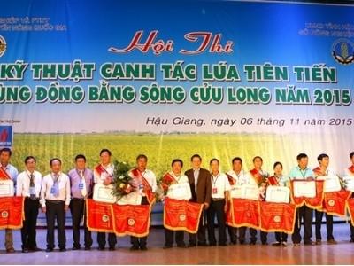 Hậu Giang đoạt giải Nhất hội thi canh tác lúa tiên tiến