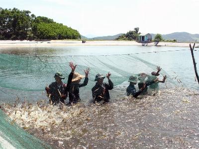 Hội thảo mô hình Nuôi tôm quảng canh cải tiến dưới tán rừng