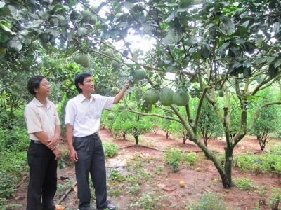 HTX quy mô nhỏ cho hiệu quả cao