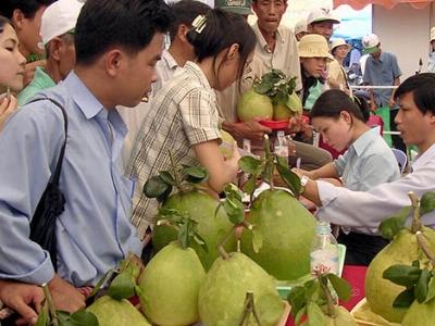 Liên kết để tạo ra nông sản an toàn