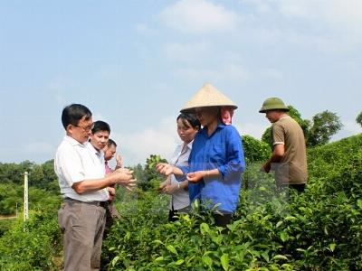 May áo giáp cho nông dân trước cơn bão thị trường