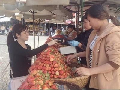 Mua đặc sản Đà Lạt, rước về cục tức