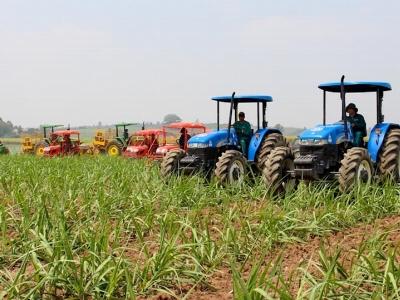 Nhân rộng mô hình cánh đồng mía mẫu lớn
