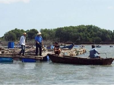 Nhiều hộ nuôi thủy sản lồng bè trên sông Chà Và không phép
