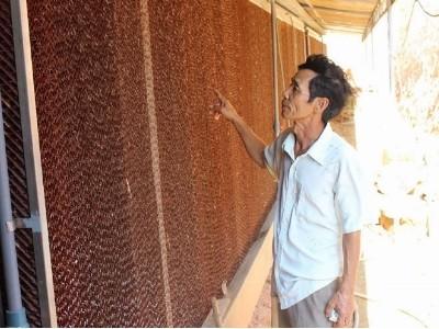 Nuôi heo bằng chuồng lạnh