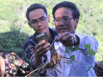 Phát triển hơn 14ha diện tích trồng cây dược liệu ở Tây Giang