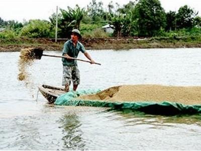 Quy chuẩn kỹ thuật quốc gia về cơ sở nuôi cá tra trong ao