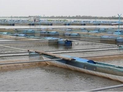 Quy chuẩn kỹ thuật Quốc gia về điều kiện nuôi thủy sản