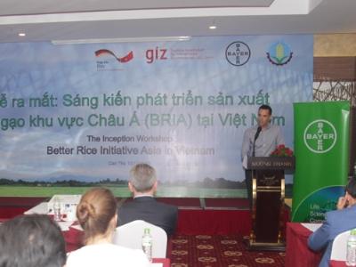 Sáng kiến phát triển sản xuất lúa gạo khu vực Châu Á thúc đẩy nền sản xuất lúa gạo Việt Nam