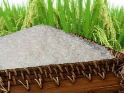 Sụt giảm xuất khẩu gạo vào Kenya