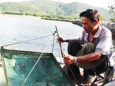 Thủy sản nuôi trồng mất mùa