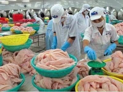 Tổng hợp thị trường thủy sản quý III và dự báo