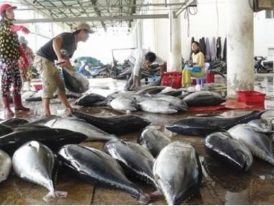TPP và thách thức đối với thị trường xuất khẩu cá ngừ