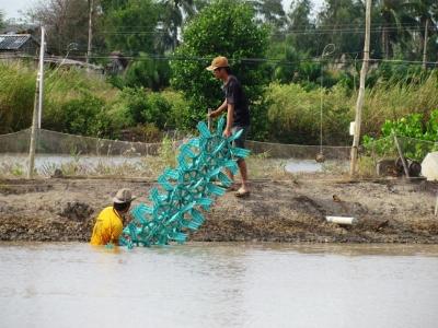 Trắng tay vỡ nợ bỏ xứ vì tôm