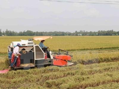 Venezuela phê chuẩn thỏa thuận hợp tác nông nghiệp với Việt Nam