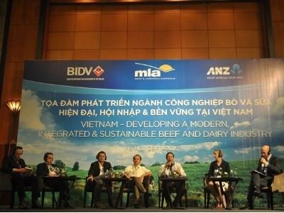 Vỗ béo bò Úc thiếu bền vững
