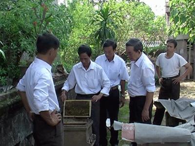 Cuộc chiến ong nội - ong ngoại: Phi lý việc cấm cản ong ngoại