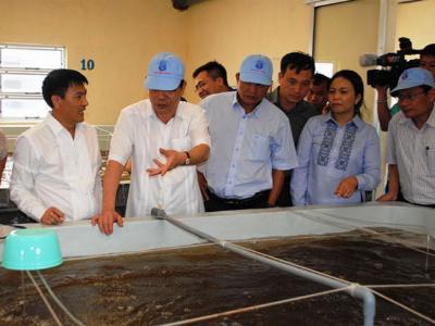 Kiếm tiền tỷ từ tôm nhờ áp dụng liên hoàn cước