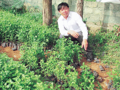 Lộc trời ở vùng cao Ngọc Chiến