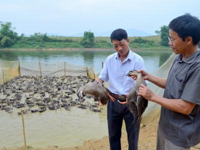 Khơi dậy ý chí làm giàu trong nông dân