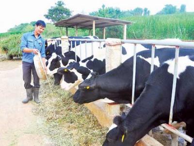 Đề xuất lập ngân hàng đất: Tạo tư duy công nghiệp trong... nông nghiệp
