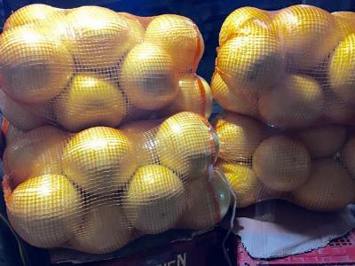 Cục Bảo vệ thực vật: Bưởi 
