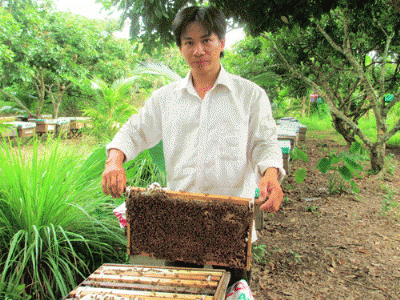 Người nuôi ong miền Tây “thoải mái” di dời đàn